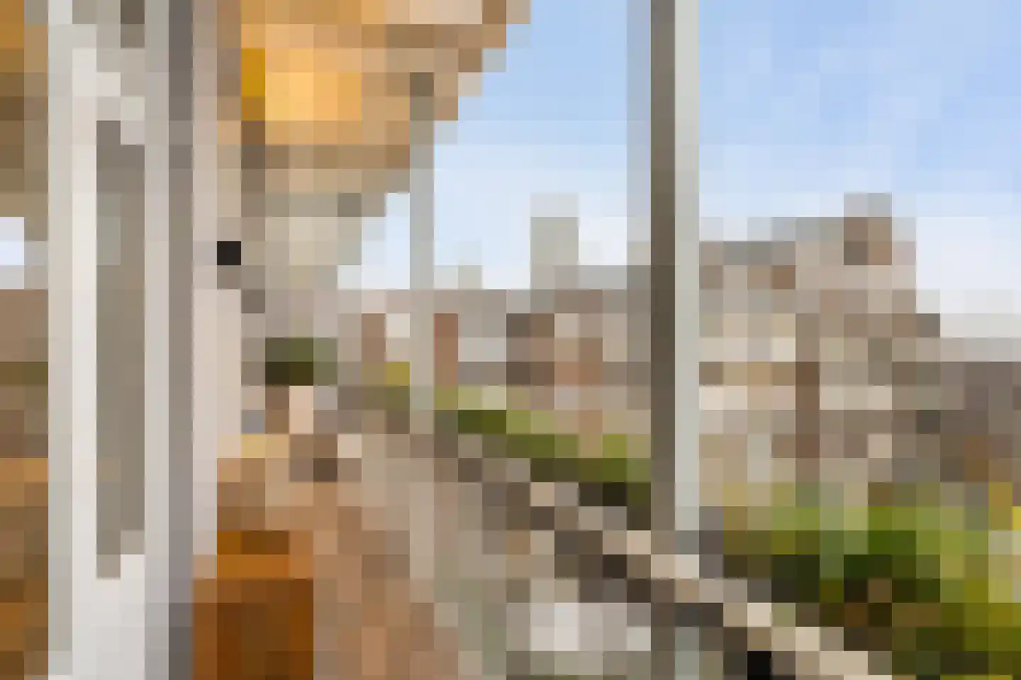 Amsteldijk 143 H Amsterdam thumbnail 12