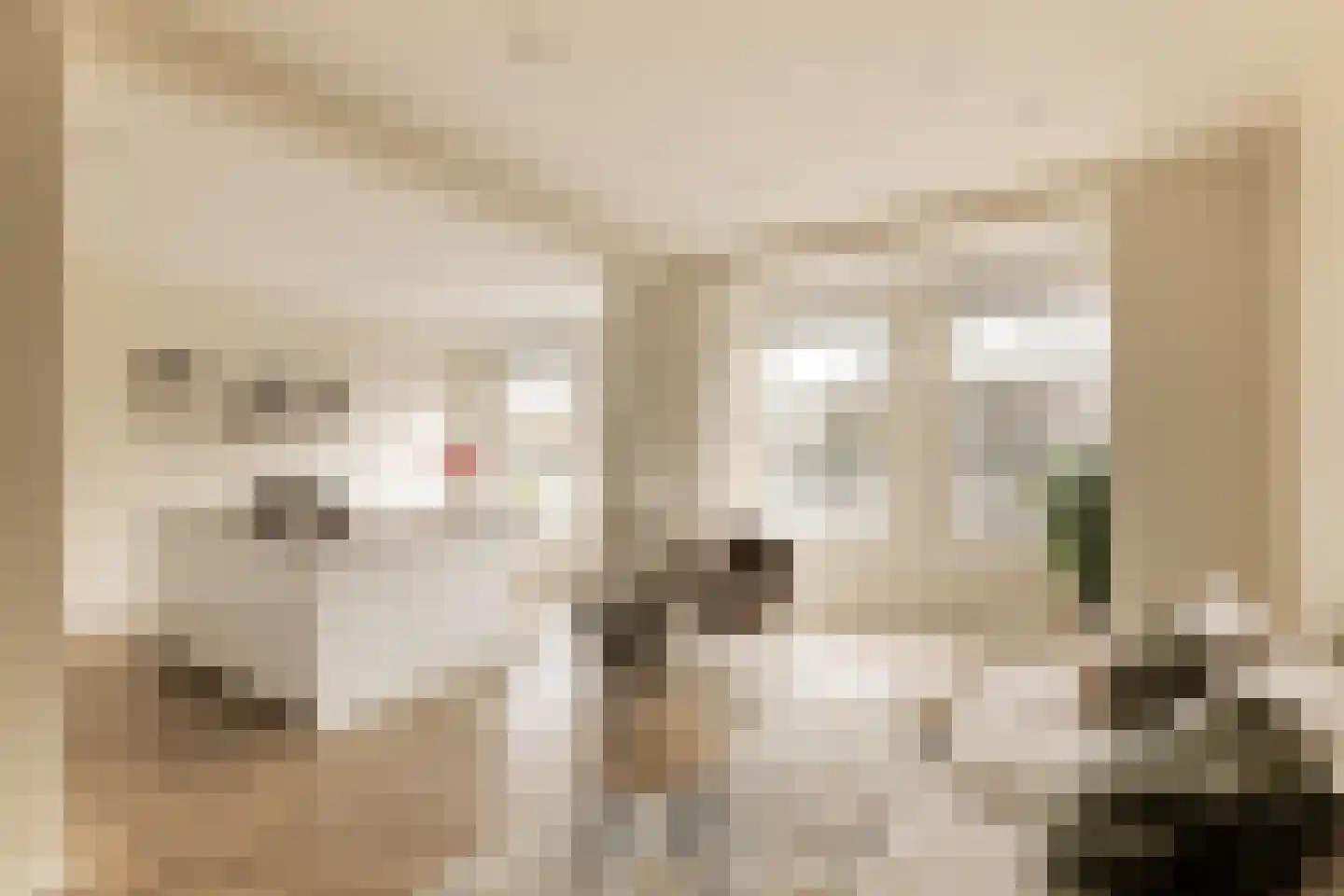 Amsteldijk 162 1 in Amsterdam