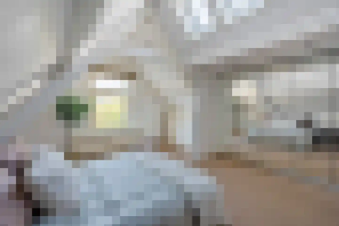 Amsteldijk 64 H Amsterdam thumbnail 19