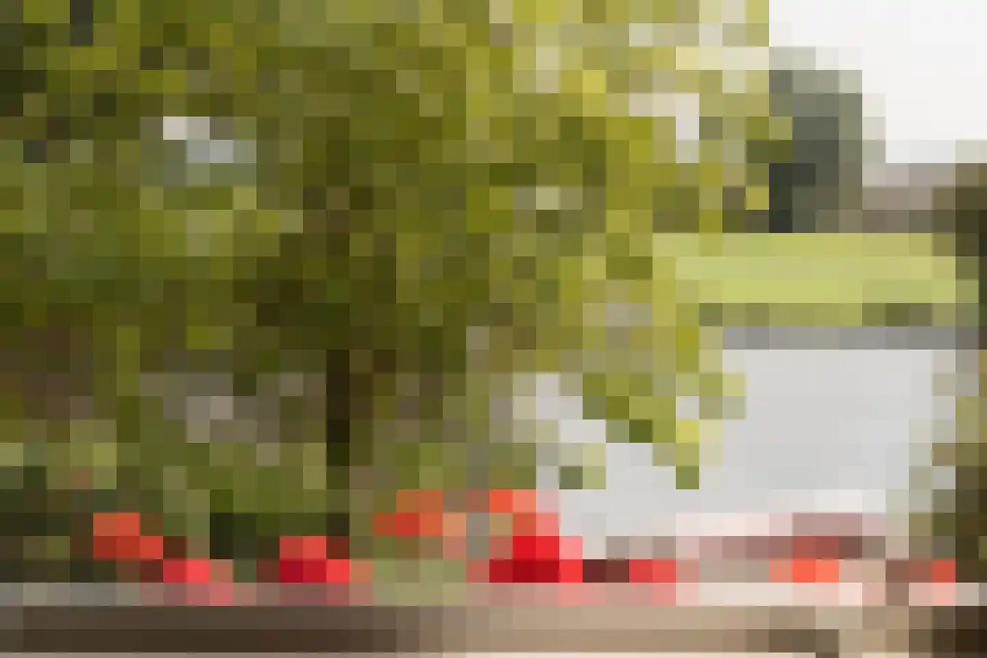 Amsteldijk Noord 104 B Amstelveen thumbnail 33