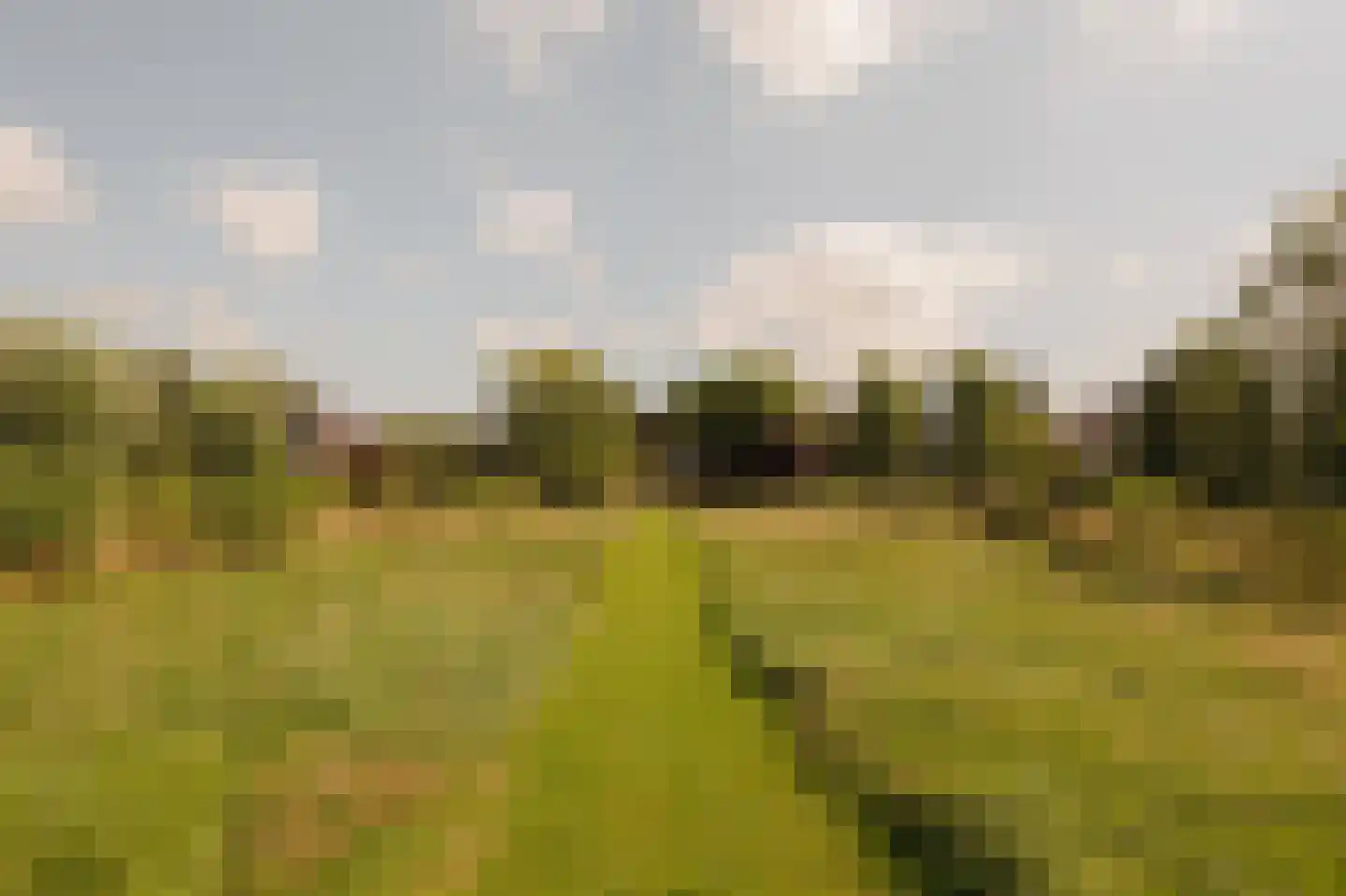 Amsteldijk Noord 105 Amstelveen thumbnail 10