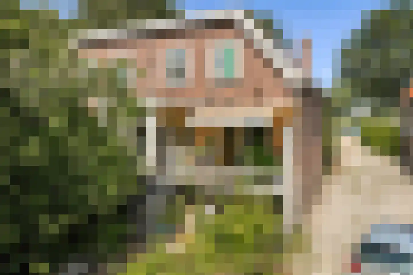 Amsteldijk Noord 136 Amstelveen thumbnail 12