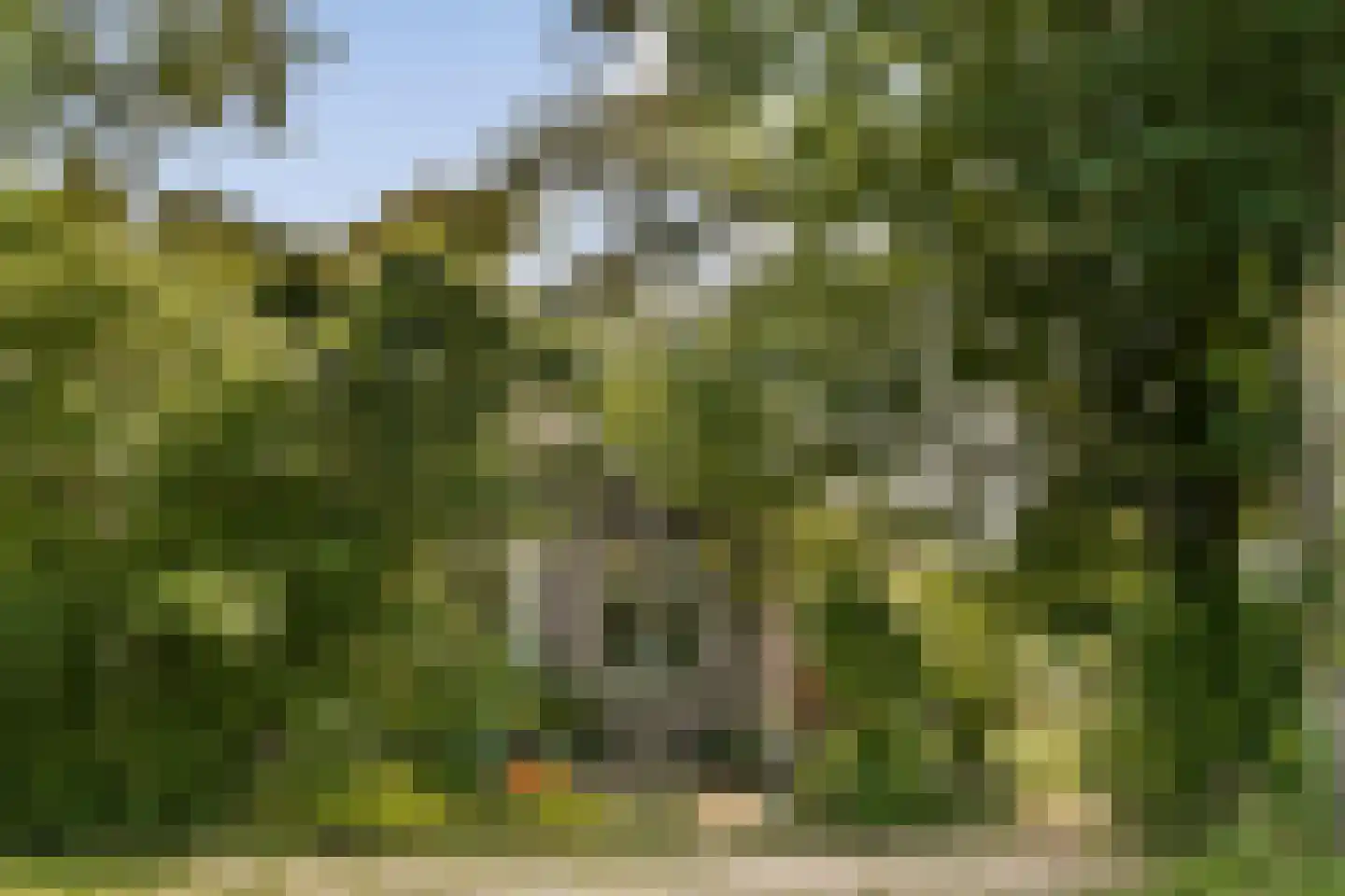 Amsteldijk Noord 136 Amstelveen thumbnail 20