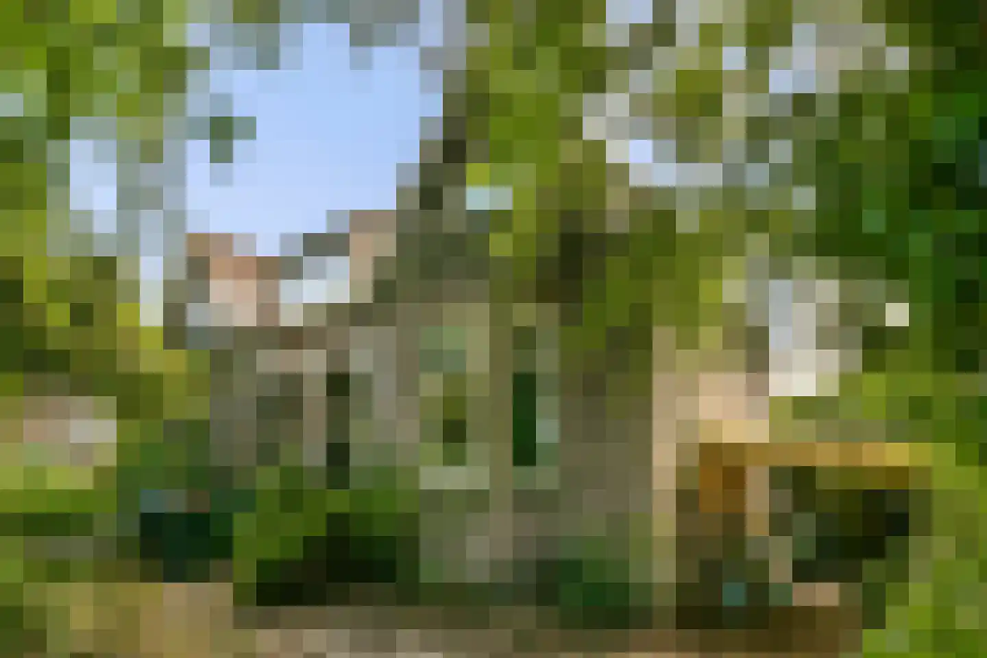 Amsteldijk Noord 136 Amstelveen thumbnail 22