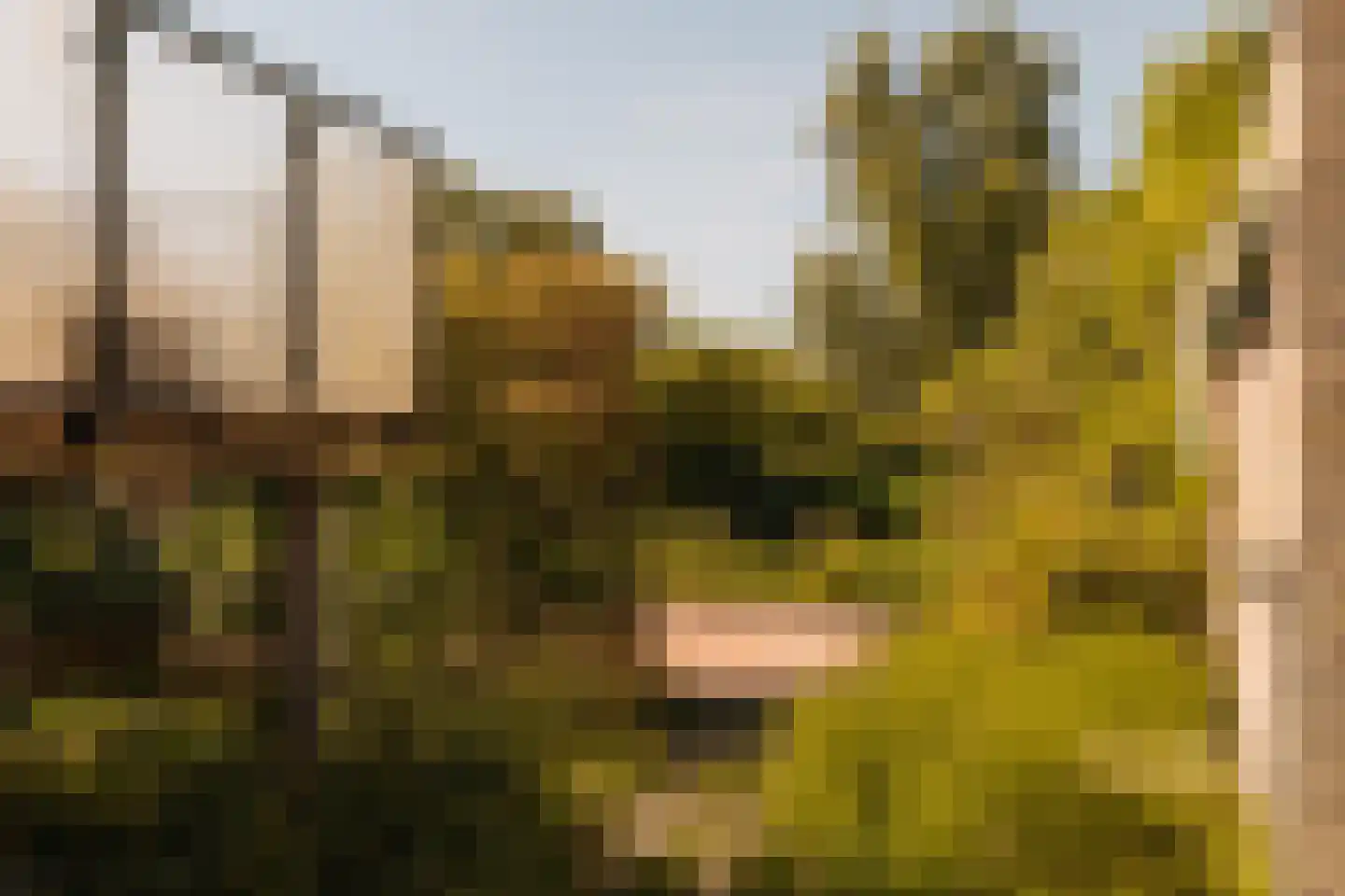 Amsteldijk Noord 137 Amstelveen thumbnail 10
