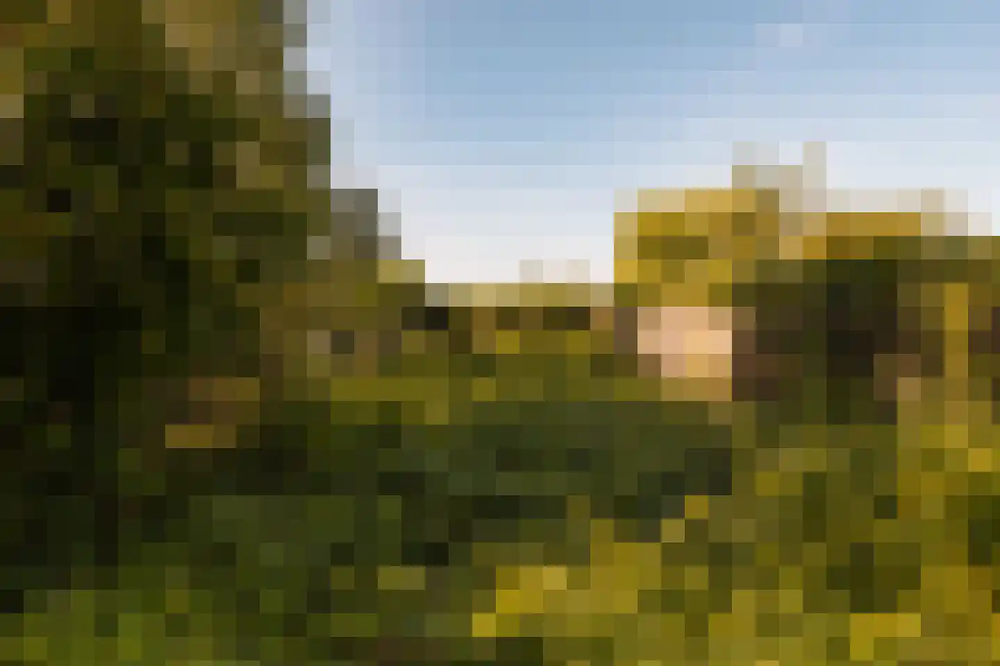Amsteldijk Noord 137 Amstelveen thumbnail 20