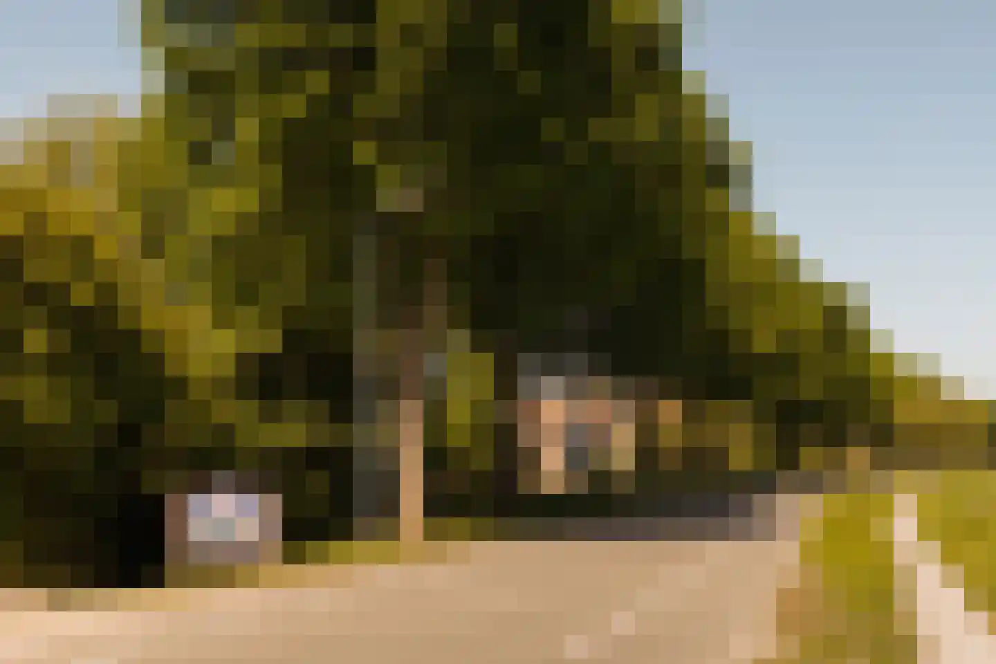 Amsteldijk Noord 137 Amstelveen thumbnail 21