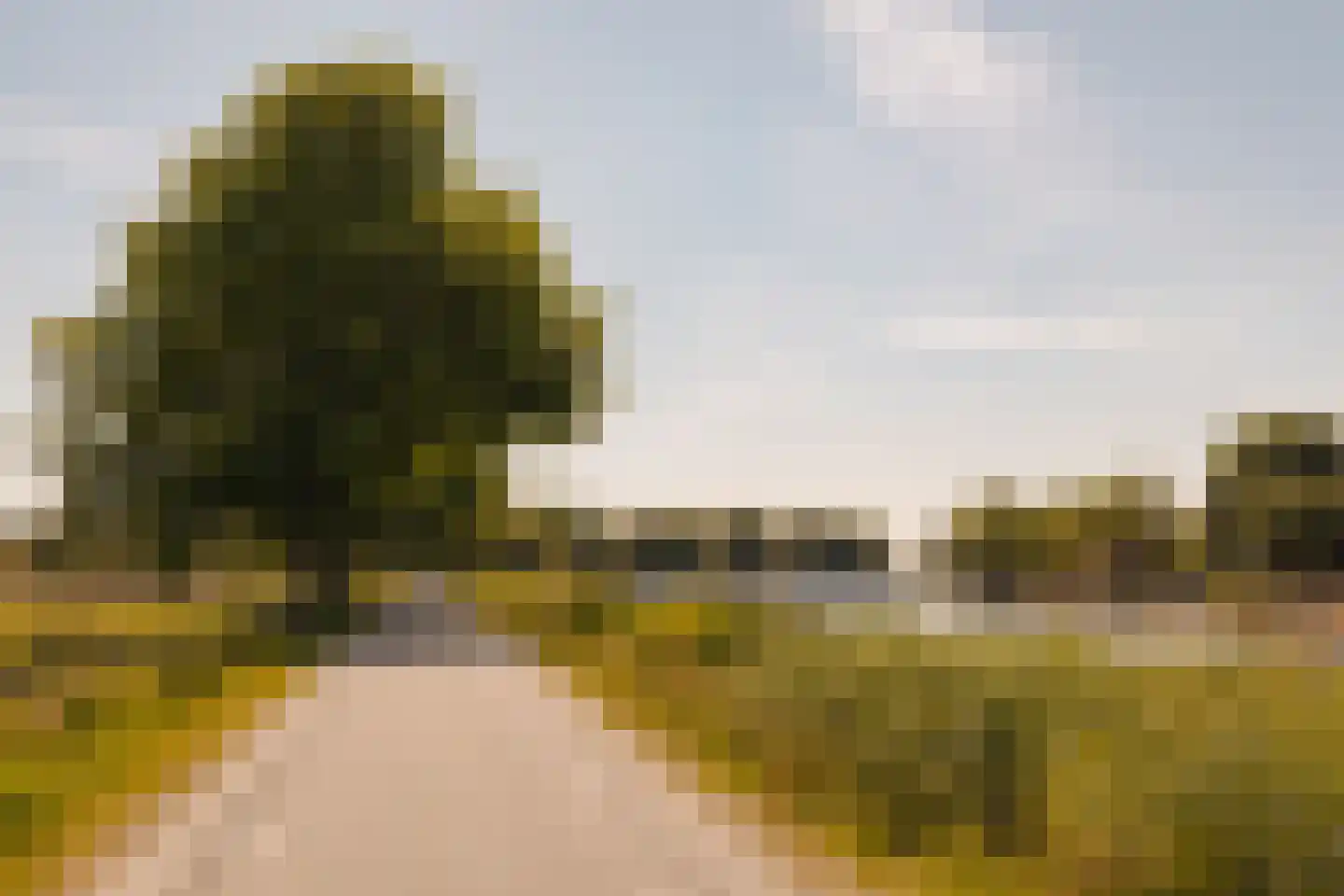 Amsteldijk Noord 137 Amstelveen thumbnail 25