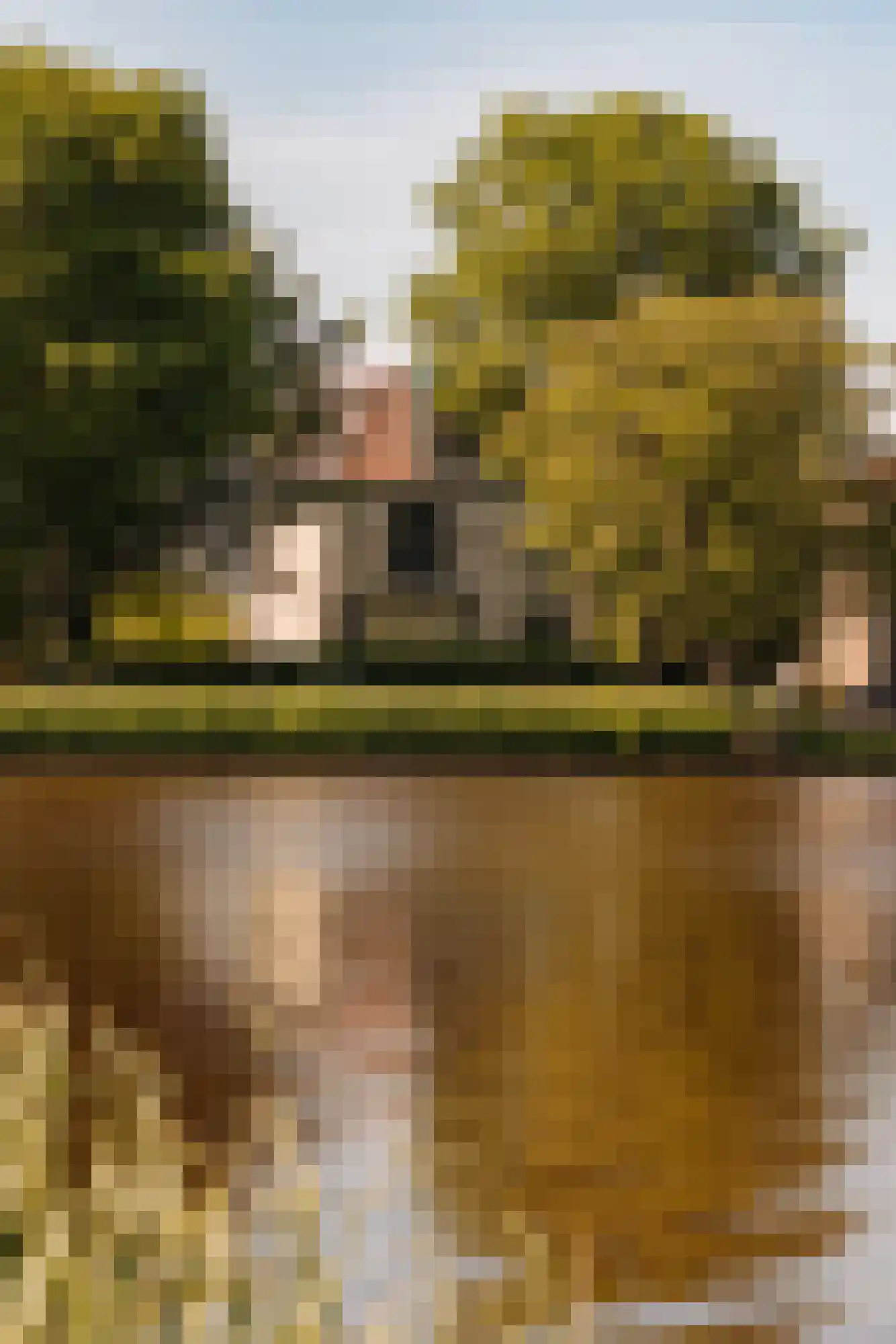 Amsteldijk Noord 137 Amstelveen thumbnail 5