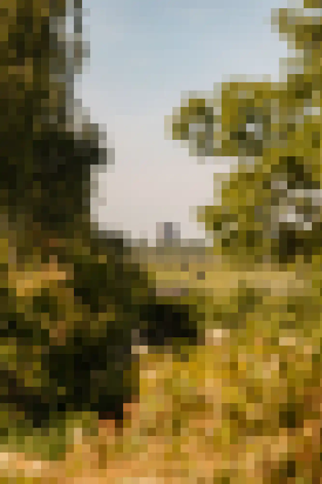 Amsteldijk Noord 137 Amstelveen thumbnail 6