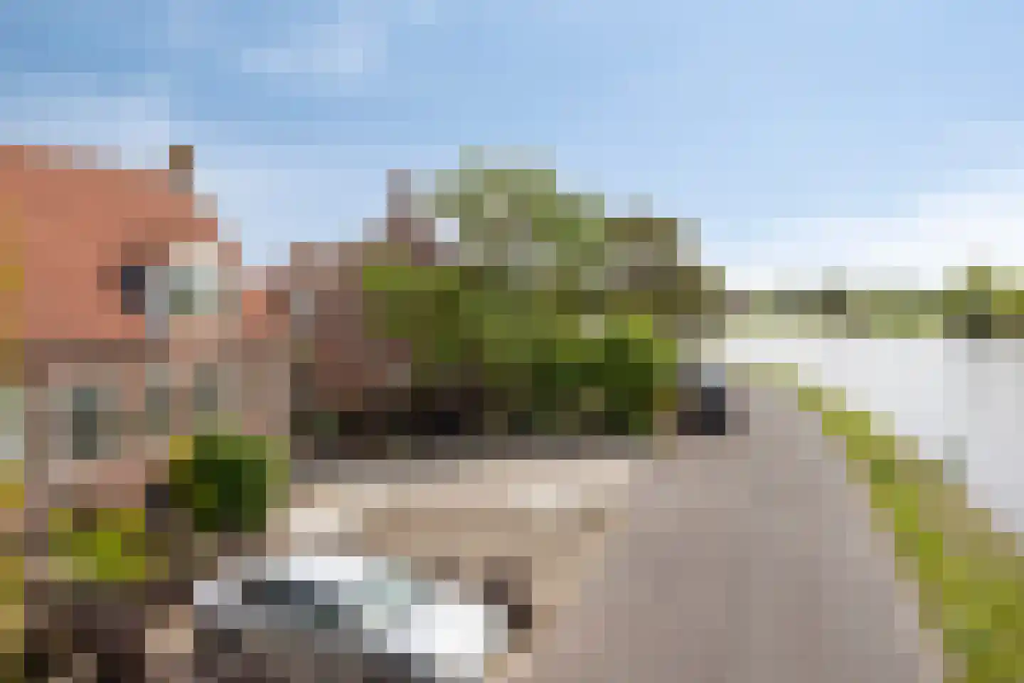 Amsteldijk-Noord 97 Uithoorn thumbnail 22