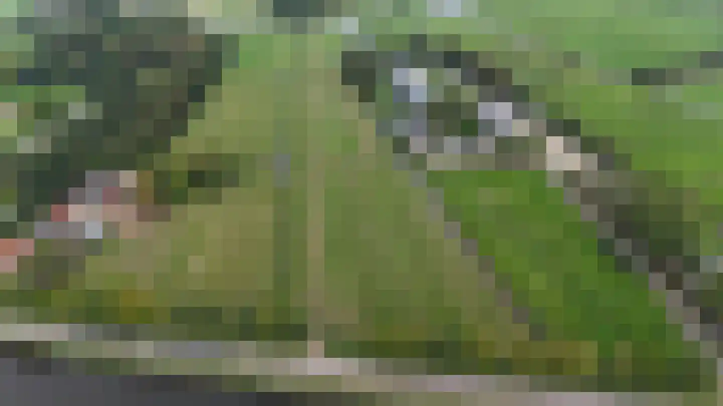 Amsteldijk Noord Amstelveen thumbnail 4