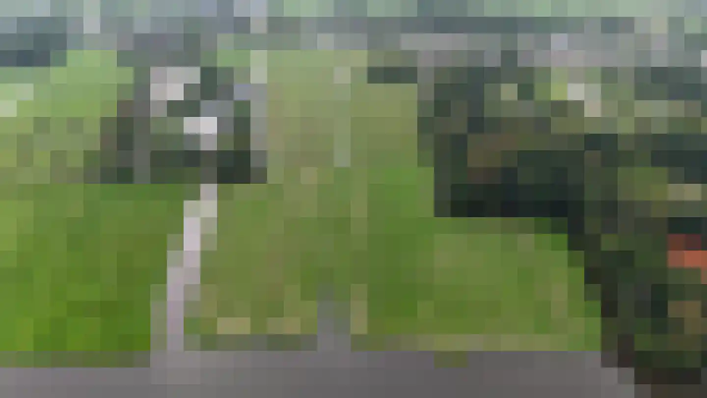 Amsteldijk Noord Amstelveen thumbnail 6