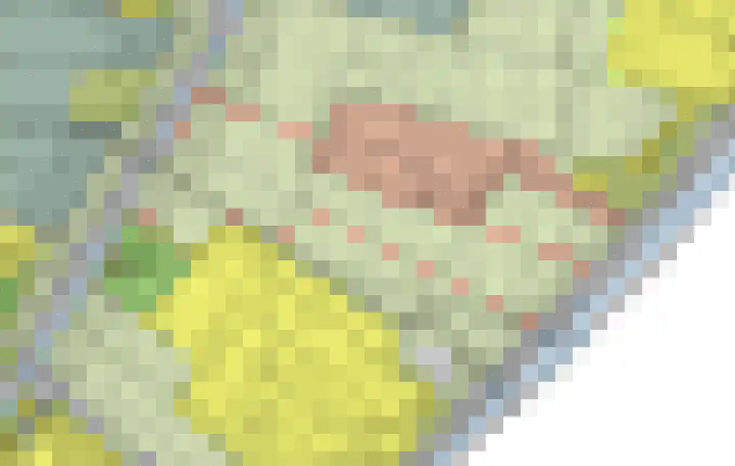 Amsteldijk Noord Amstelveen thumbnail 9