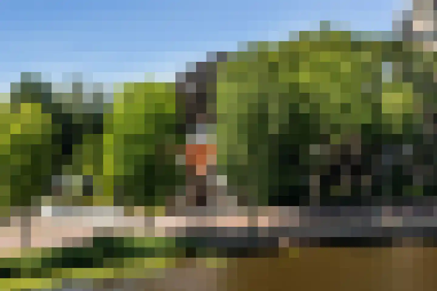 Amsteldijk Zuid 146 Amstelveen thumbnail 4