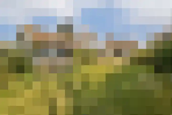 Amsteldijk Zuid 203 Amstelveen thumbnail 15