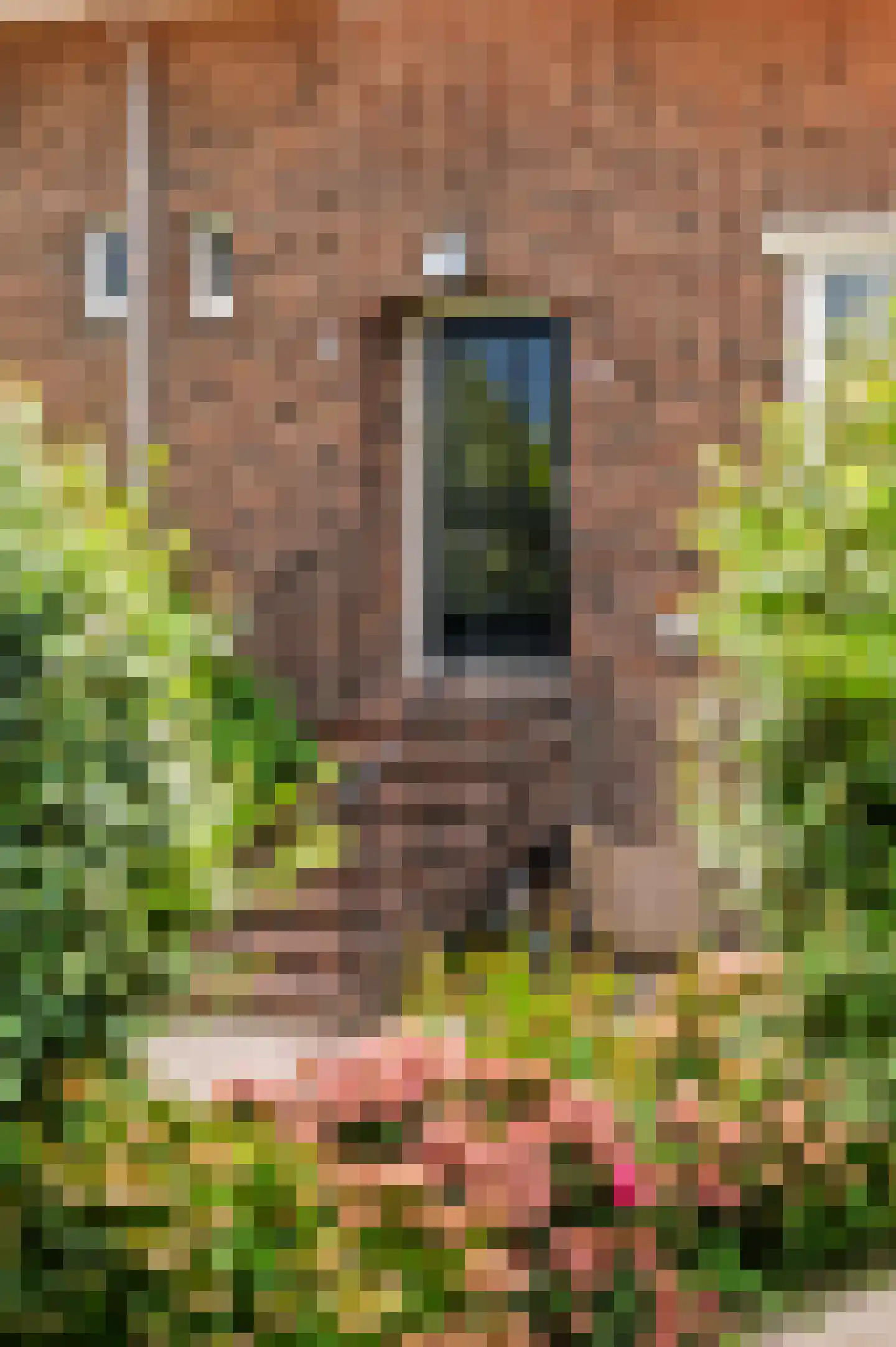 Amsteldijk Zuid 61 Amstelveen foto 3