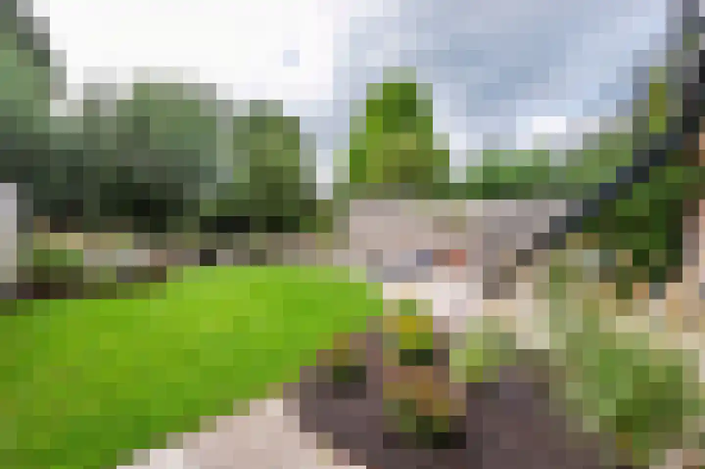 Amsteldijk Zuid 61 Amstelveen thumbnail 39