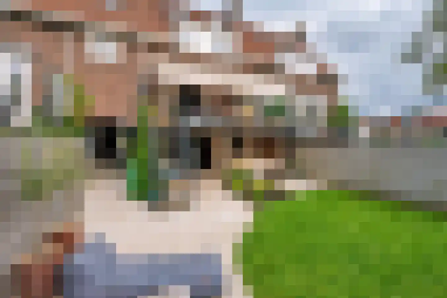 Amsteldijk Zuid 61 Amstelveen thumbnail 42