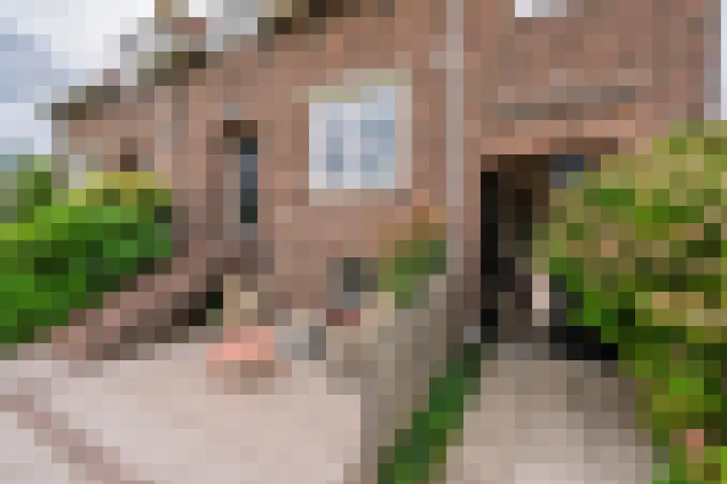 Amsteldijk Zuid 61 Amstelveen thumbnail 5