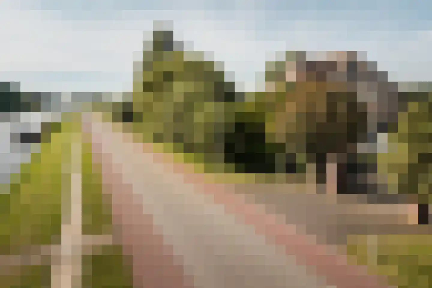 Amsteldijk Zuid 79 B Amstelveen thumbnail 4