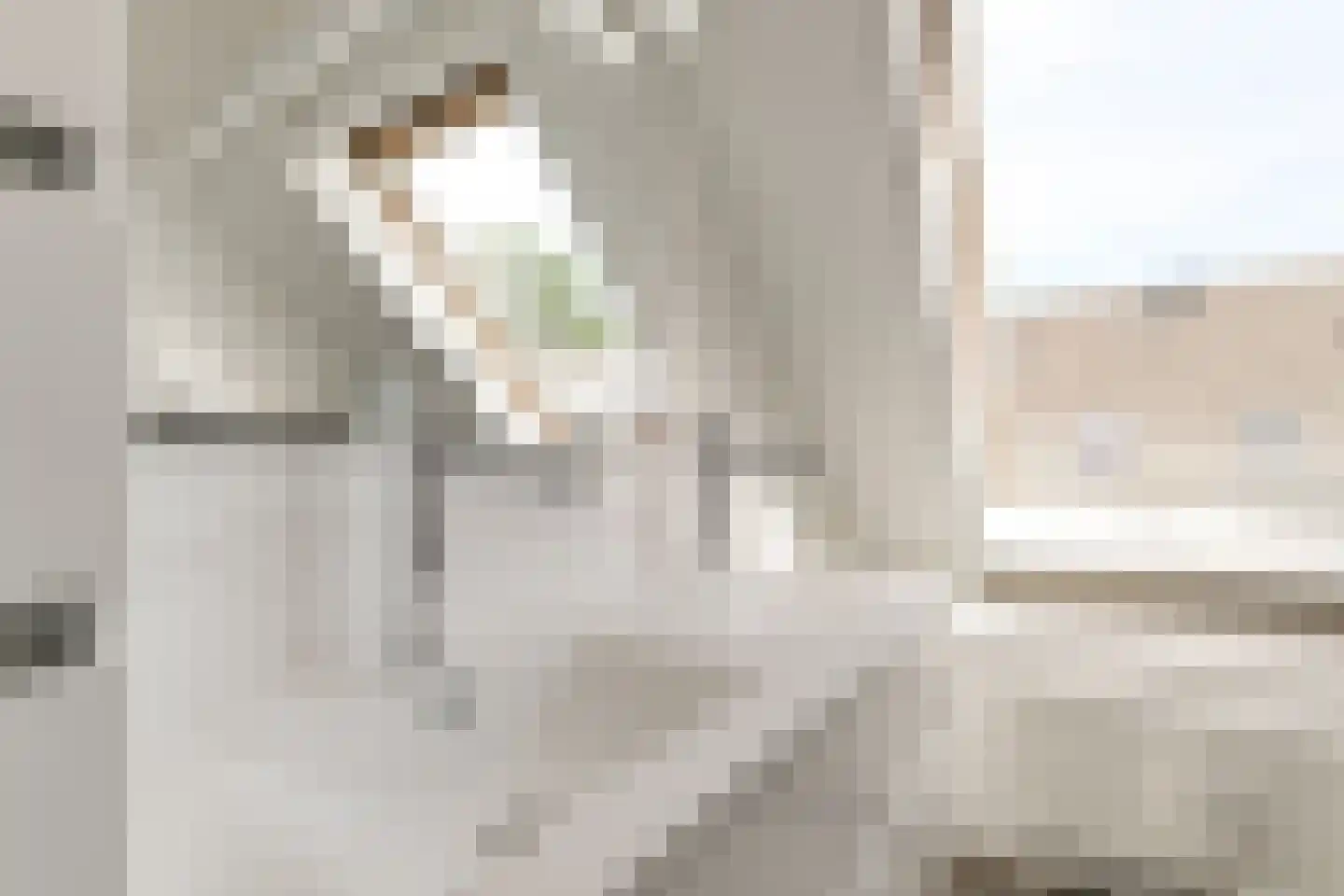 Amstelhof 14 Leidschendam thumbnail 12