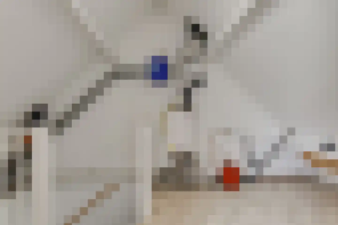 Amstelhof 14 Leidschendam thumbnail 18