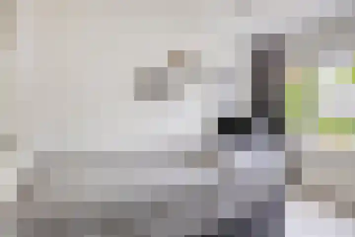 Amstelhof 16 Veldhoven thumbnail 21