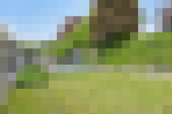 Amstelhof 16 Veldhoven thumbnail 34