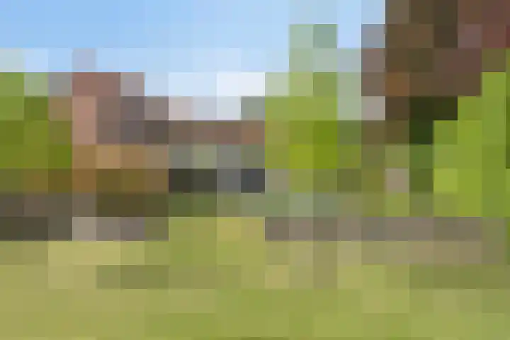 Amstelhof 16 Veldhoven thumbnail 48