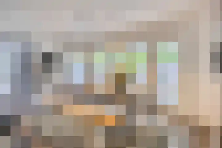 Amstelhof 16 Veldhoven thumbnail 8