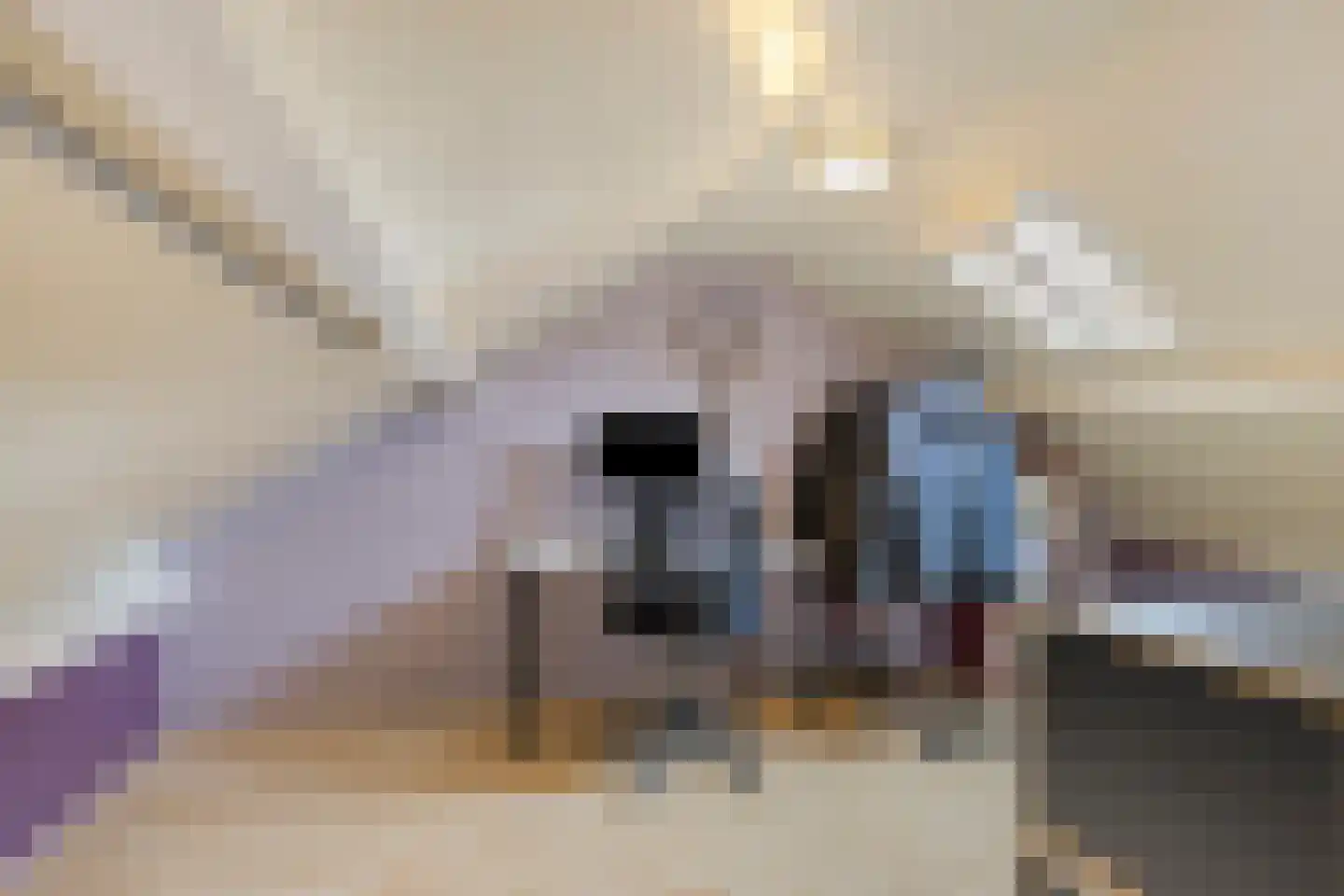 Amstelhof 20 Veldhoven thumbnail 23