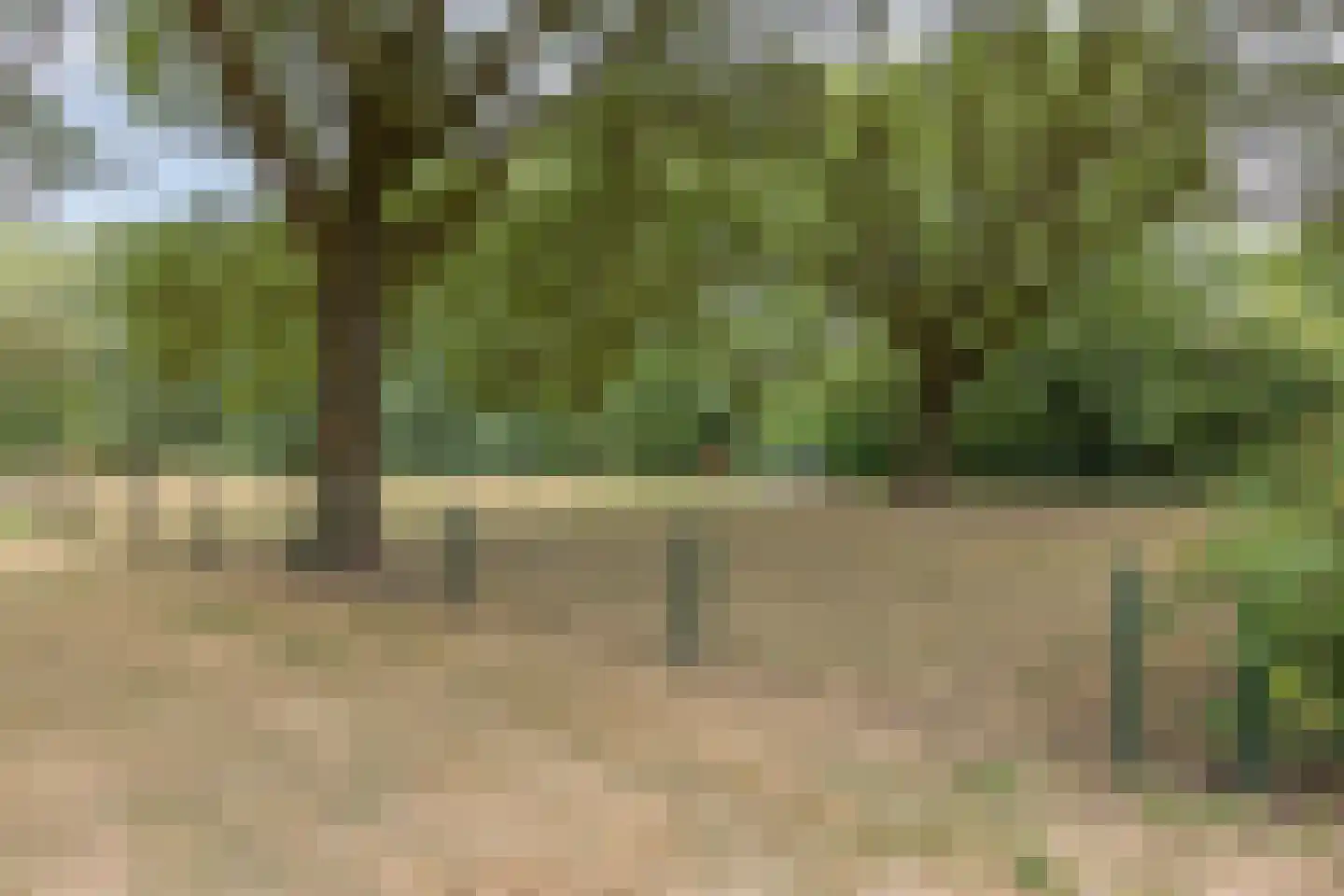 Amstelhof 20 Veldhoven thumbnail 35