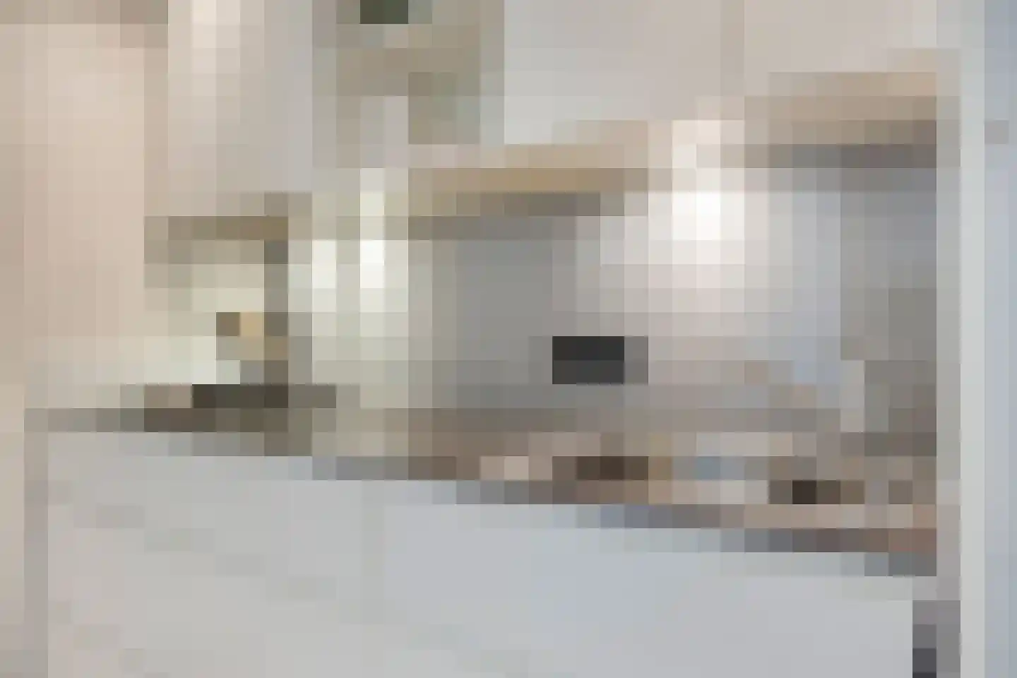 Amstelhof 20 Veldhoven thumbnail 6