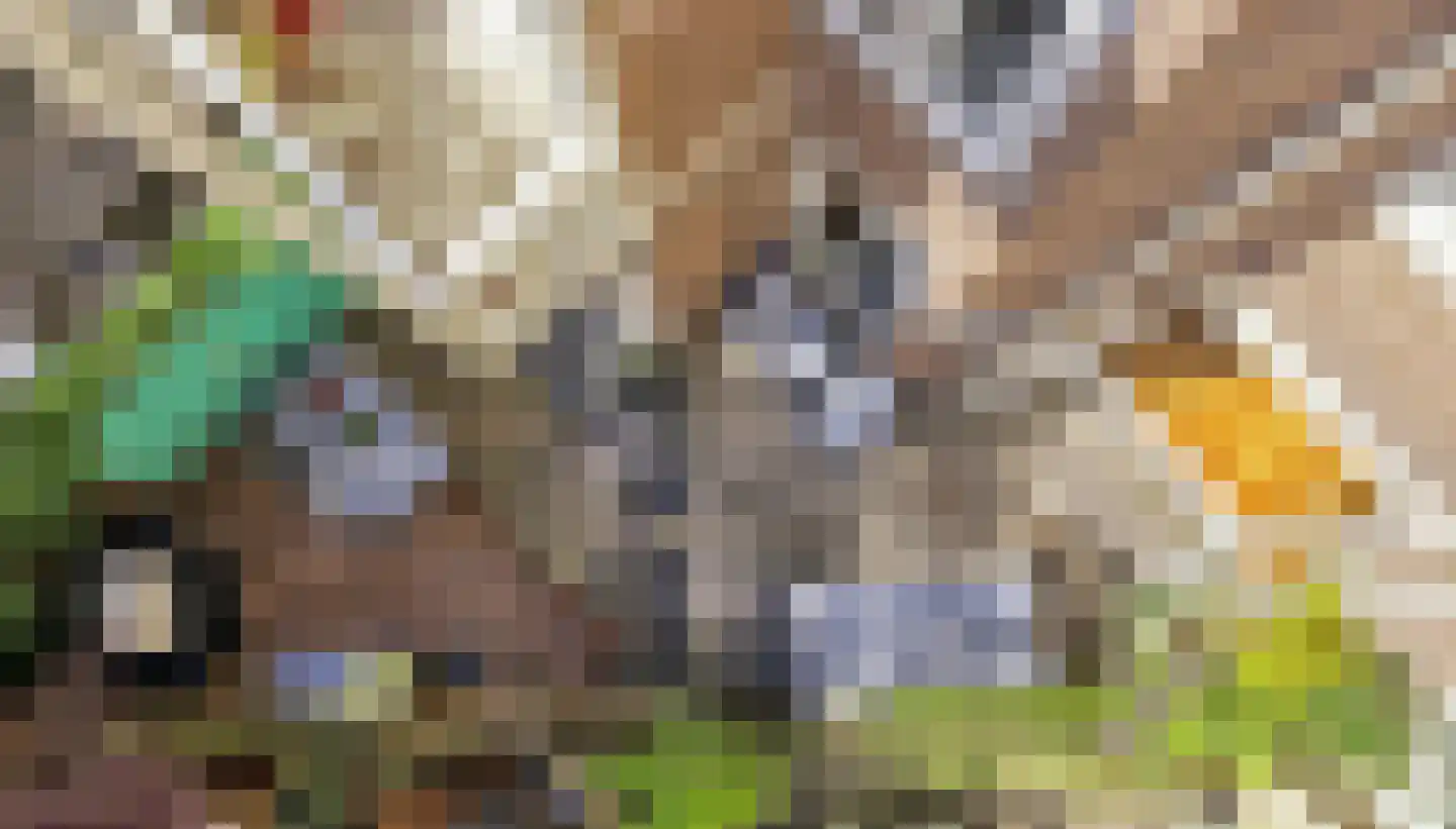 Amstelkade 1 H Amsterdam thumbnail 12