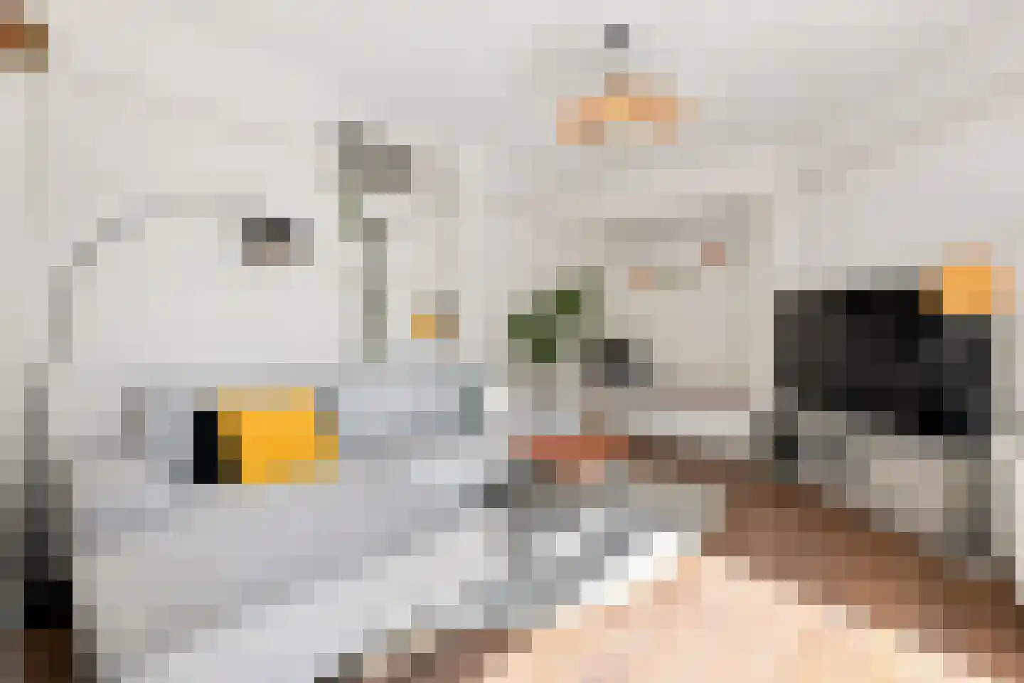Amstelkade 1 H Amsterdam thumbnail 6