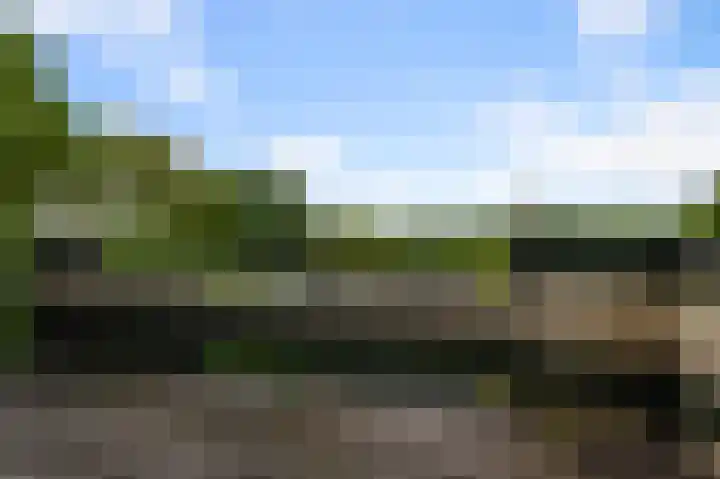 Amstelkade 100 Amstelhoek thumbnail 12