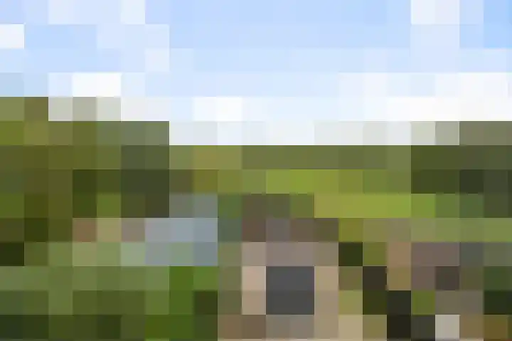 Amstelkade 100 Amstelhoek thumbnail 13