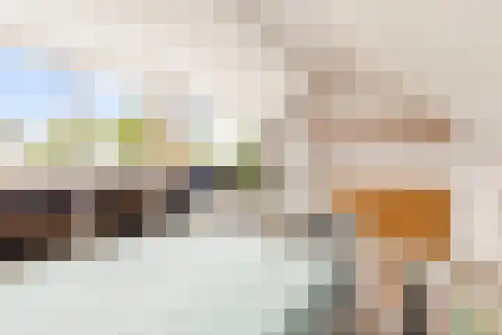 Amstelkade 100 Amstelhoek thumbnail 31