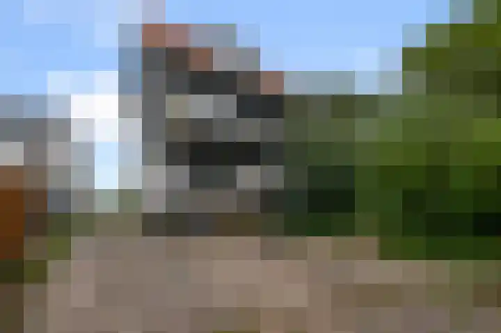 Amstelkade 100 Amstelhoek thumbnail 37