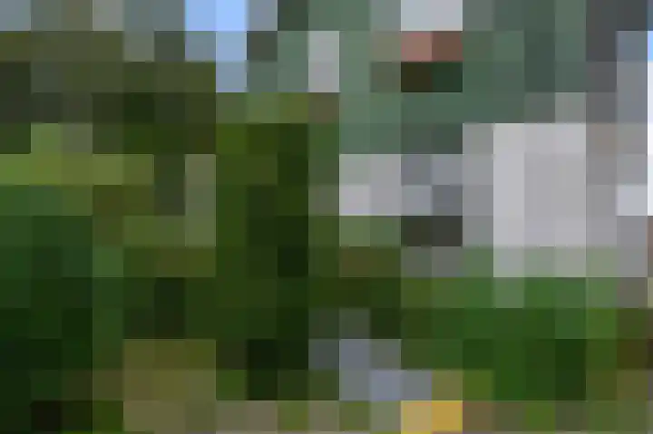 Amstelkade 100 Amstelhoek thumbnail 42