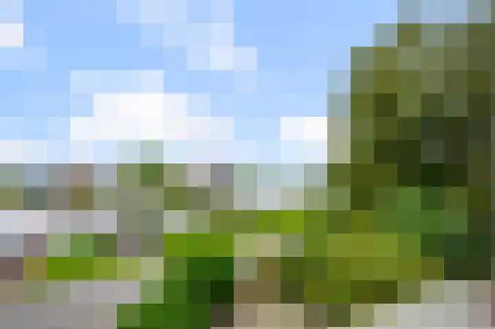Amstelkade 100 Amstelhoek thumbnail 5