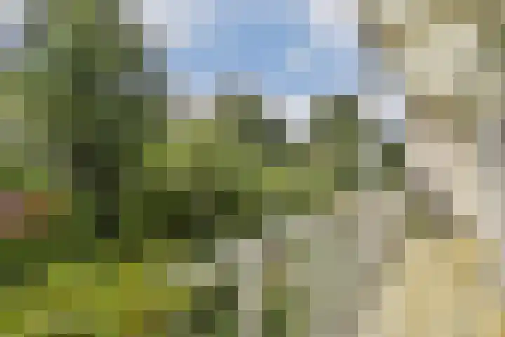 Amstelkade 109 1 Amsterdam thumbnail 11