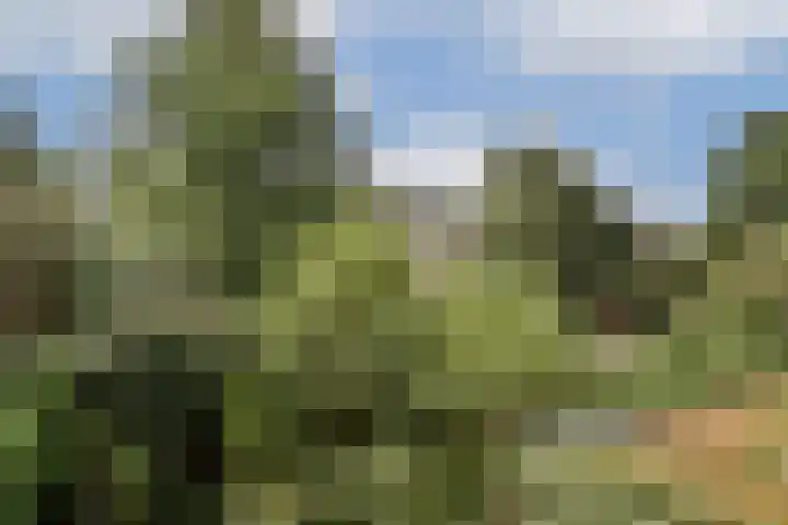 Amstelkade 109 1 Amsterdam thumbnail 12