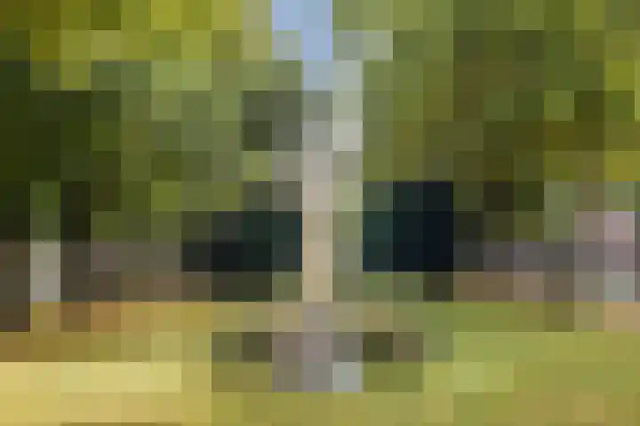 Amstelkade 109 1 Amsterdam thumbnail 25