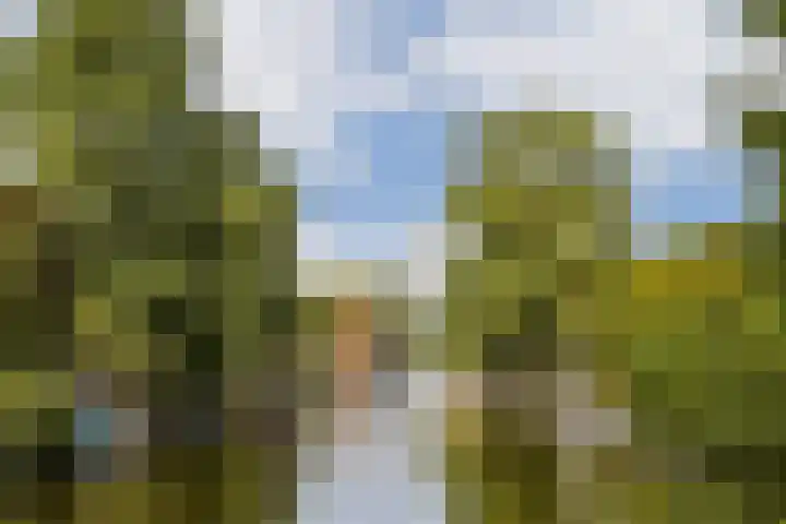 Amstelkade 109 1 Amsterdam thumbnail 26