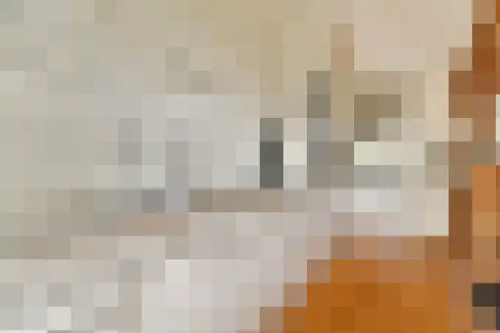 Amstelkade 109 1 Amsterdam thumbnail 4