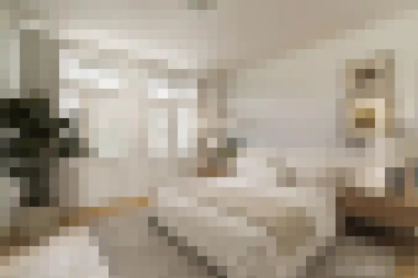 Amstelkade 119 1 Amsterdam thumbnail 11