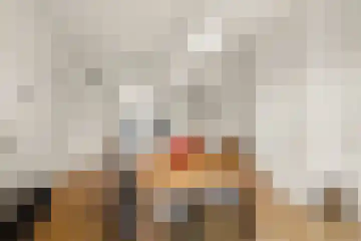 Amstelkade 123 3 Amsterdam thumbnail 14