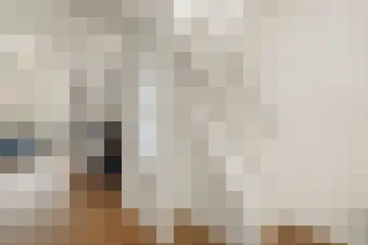 Amstelkade 123 3 Amsterdam thumbnail 15